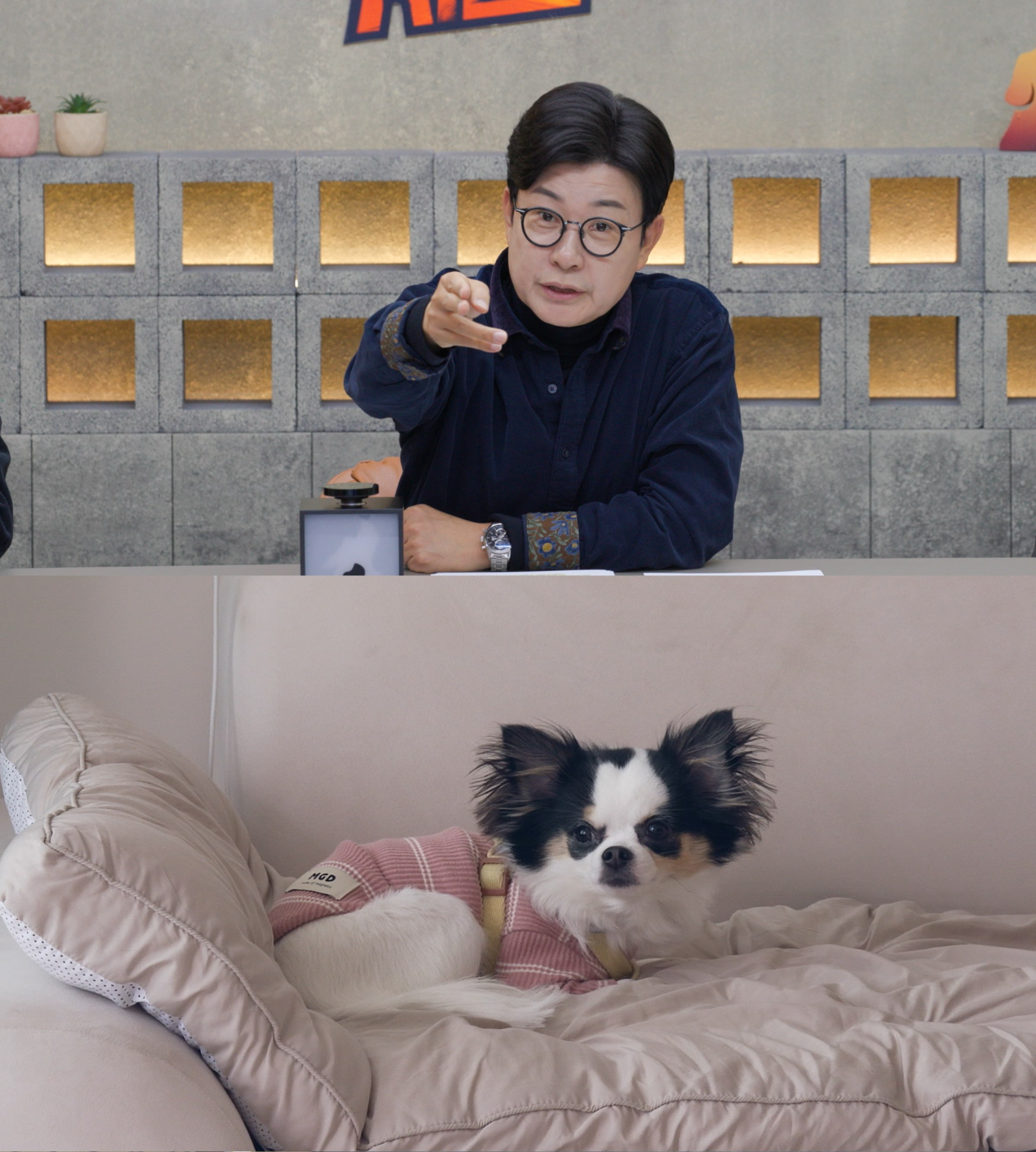 사진제공 | 채널A