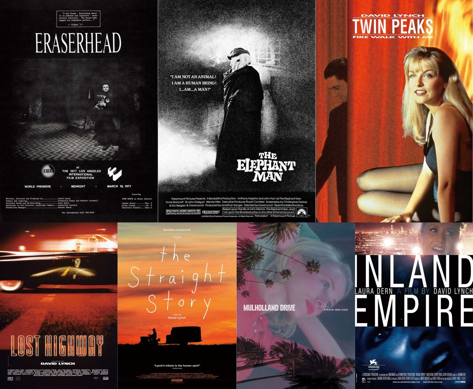 사진제공｜CGV 아트하우스