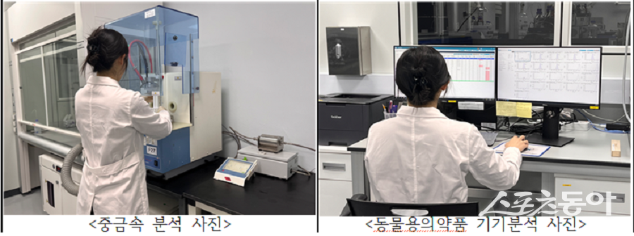강원특별자치도보건환경연구원은 2025년 도내에서 유통·판매되는 수산물을 대상으로 유해중금속과 동물용의약품, 마른김에 사용이 금지된 인공감미료에 대한 안전성 검사를 실시한 결과, 모두 불검출 또는 기준 이하로 검출돼 ‘적합’ 판정을 받았다(안전성 검사 모습). 사진제공|강원도