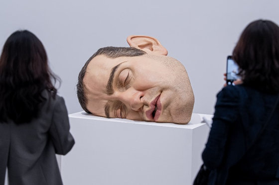 지난해 국립현대미술관에서 열린 론 뮤익 전시 전경. 대형 조각 앞에서 관람객들이 작품을 감상하고 있다. 사진제공|국립현대미술관