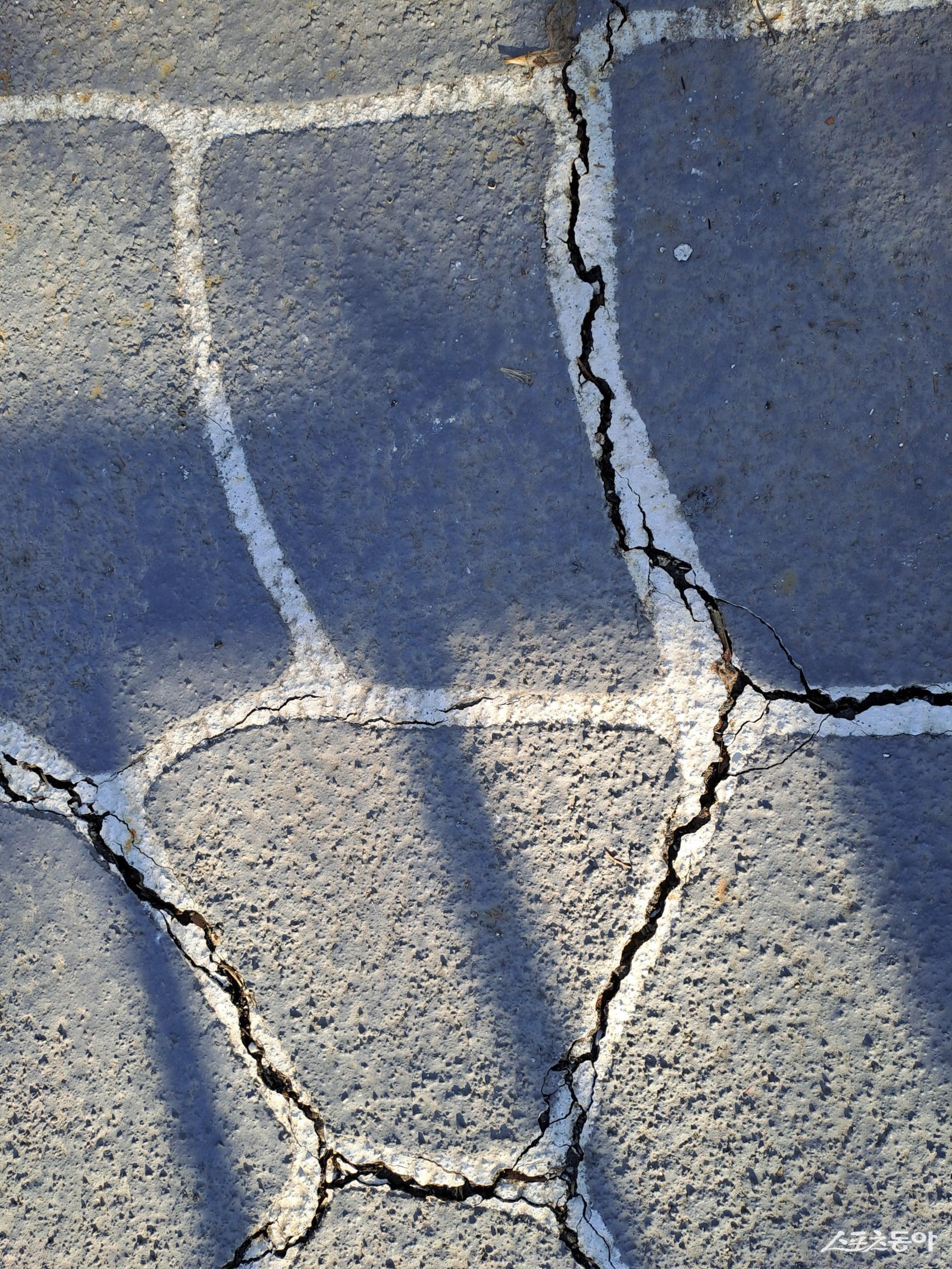 서현교 인도 바닥 모습. 사진 ㅣ김00 제공