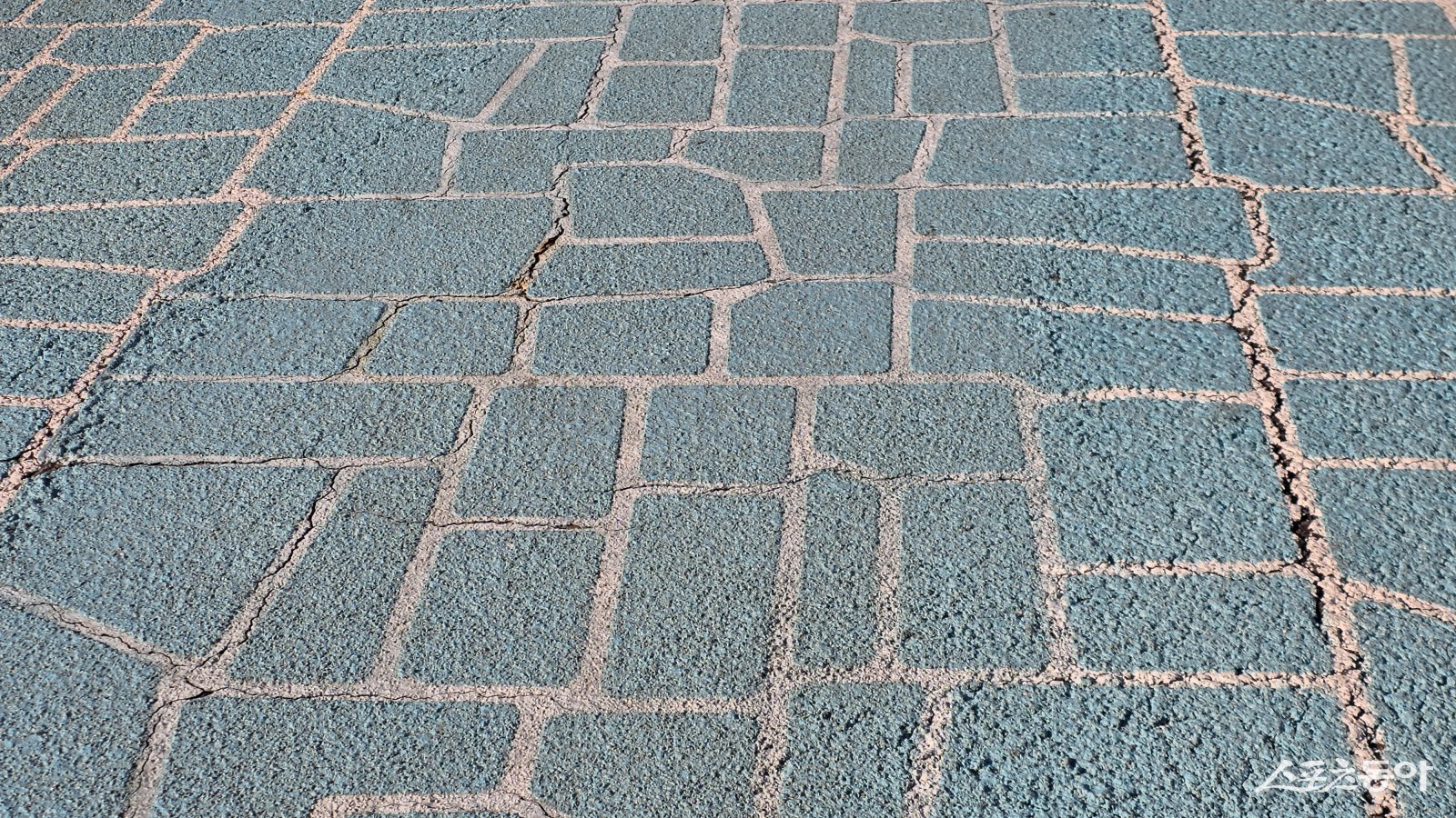 황새울교 인도 모습. 사진 ㅣ 고성철 기자