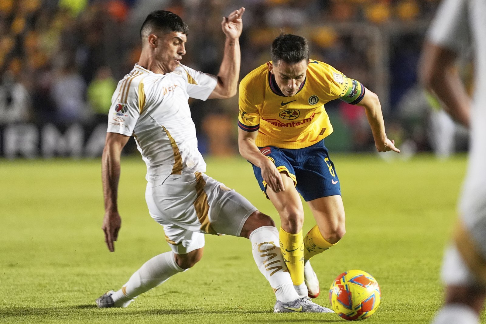 멕시코 매체들은 북중미월드컵을 앞두고 미드필더 알바로 피달고(오른쪽)의 멕시코 대표팀 발탁 여부에 촉각을 기울이고 있다. AP뉴시스