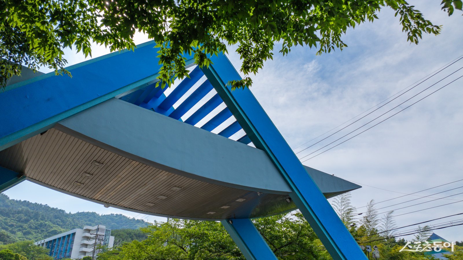 순천제일대학교 전경. 사진제공=순천제일대