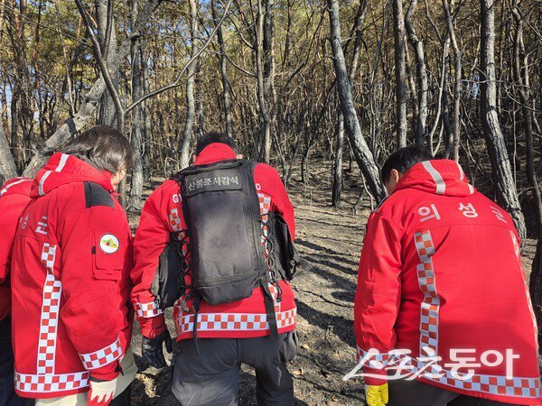 의성군이 지난 10일 관내 야산에서 발생한 산불원인 조사를 하고 있는 모습. 사진제공ㅣ의성군