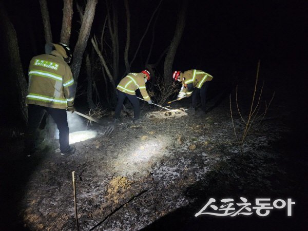경북형 소방산불진화대의 체계적 대응이 선제적 산불 대응 정책 실효성을 현장에서 입증했다. 사진제공 ㅣ 경북도