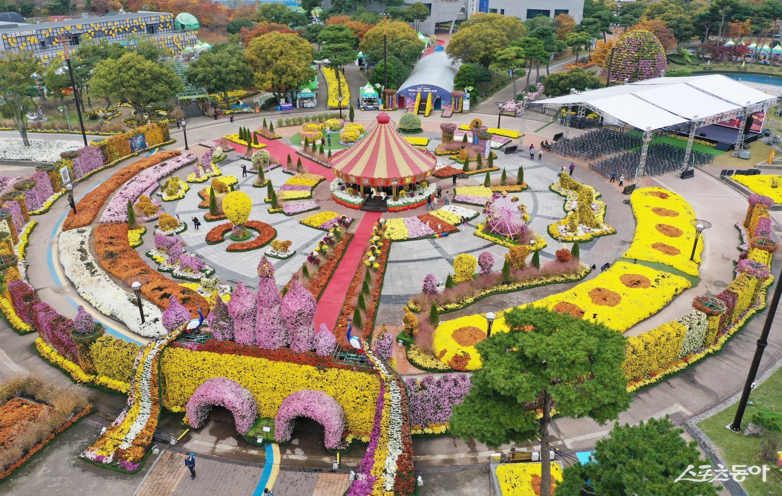 2025 대한민국 국향대전. 사진제공=함평군