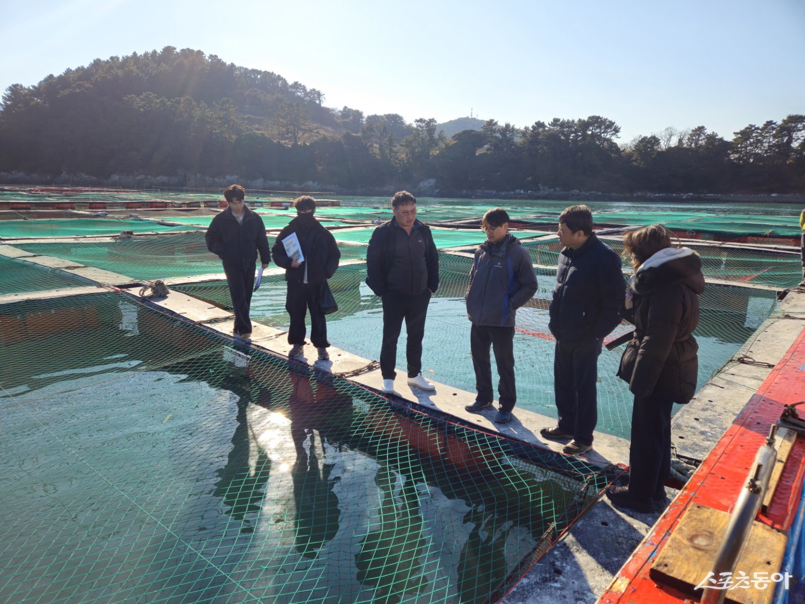 전라남도는 14일 오전 10시 서부 해역(영광~신안)과 내만 해역(함평만·득량만·여자만·가막만)에 저수온 주의보가 발령돼 양식어류 피해가 우려됨에 따라 양식어가에 수온 모니터링, 보온시설 가동 등 관리 철저를 당부했다. 사진제공=전남도