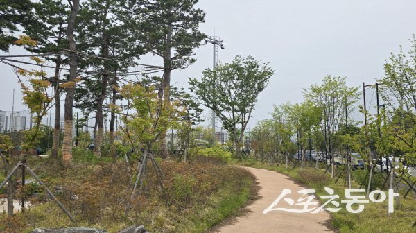 포항시의 ‘상도 생활야구장’ 도시숲. 사진제공 ㅣ 포항시