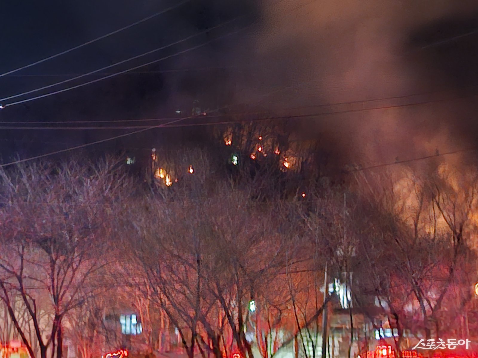 영천시 화산면 주택가에서 발생한 화재가 산불로 번져.  사진촬영 ㅣ 권영준 기자