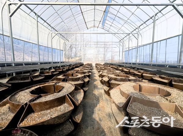 상주시 양묘장 실내. 사진제공ㅣ상주시