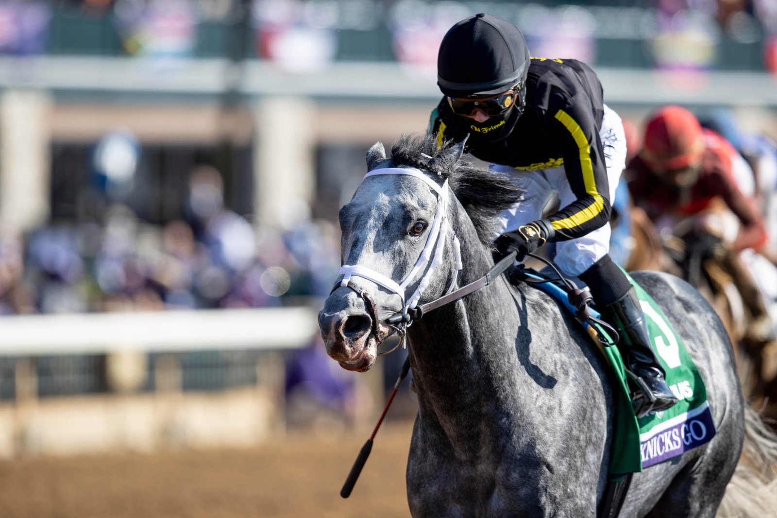 ‘제2의 메니피’로 기대받고 있는 닉스고의 현역 시절 경주 모습.  경주마 유전능력 평가기술인 케이닉스 시스템에 의해 선발된 닉스고가 국내에서 씨수말로 활약하게 됨에 따라 경마 시장 전반에 긍정적 영향을 미칠 것으로 기대되고 있다. 사진제공 | 한국마사회