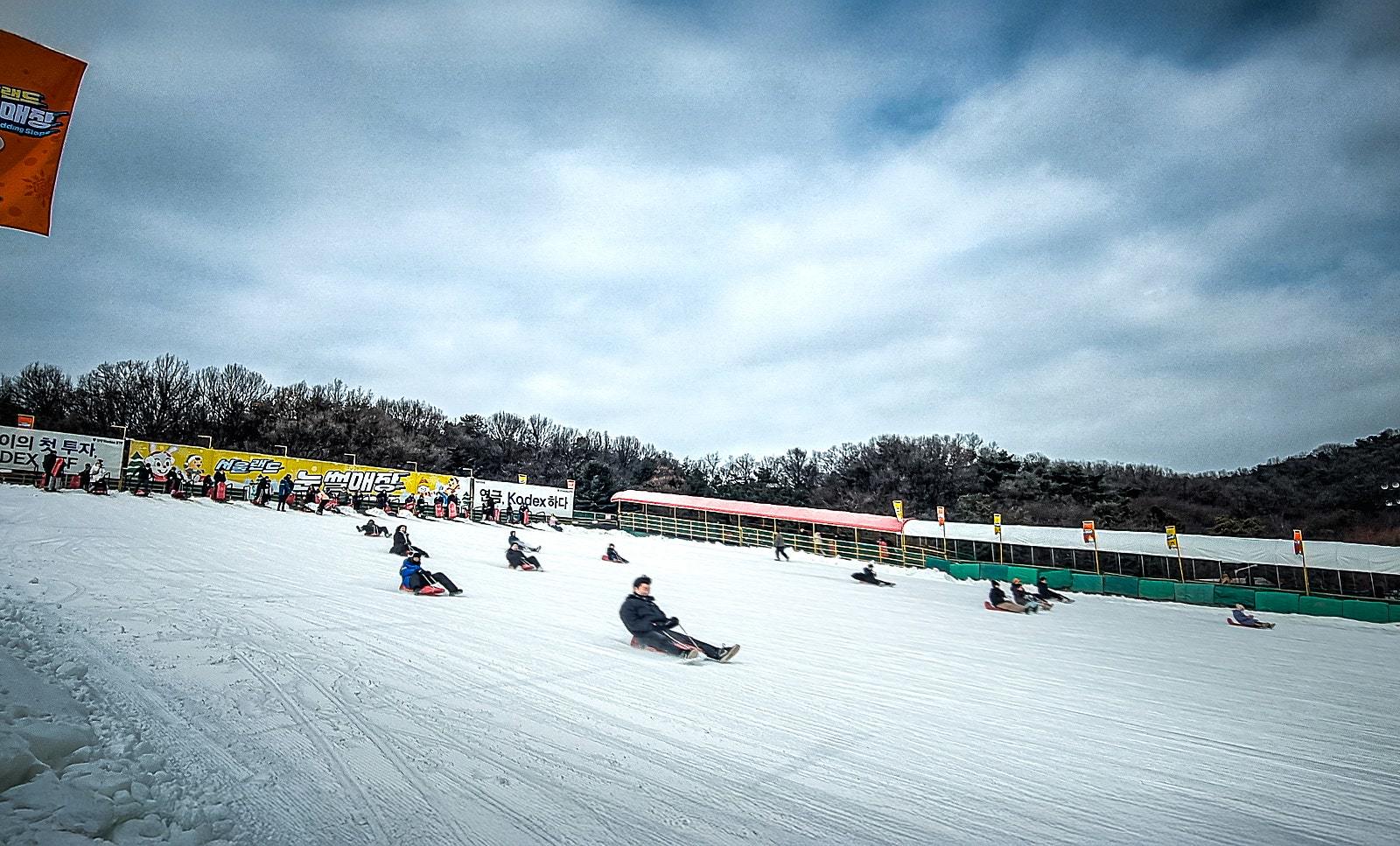서울랜드 눈썰매장