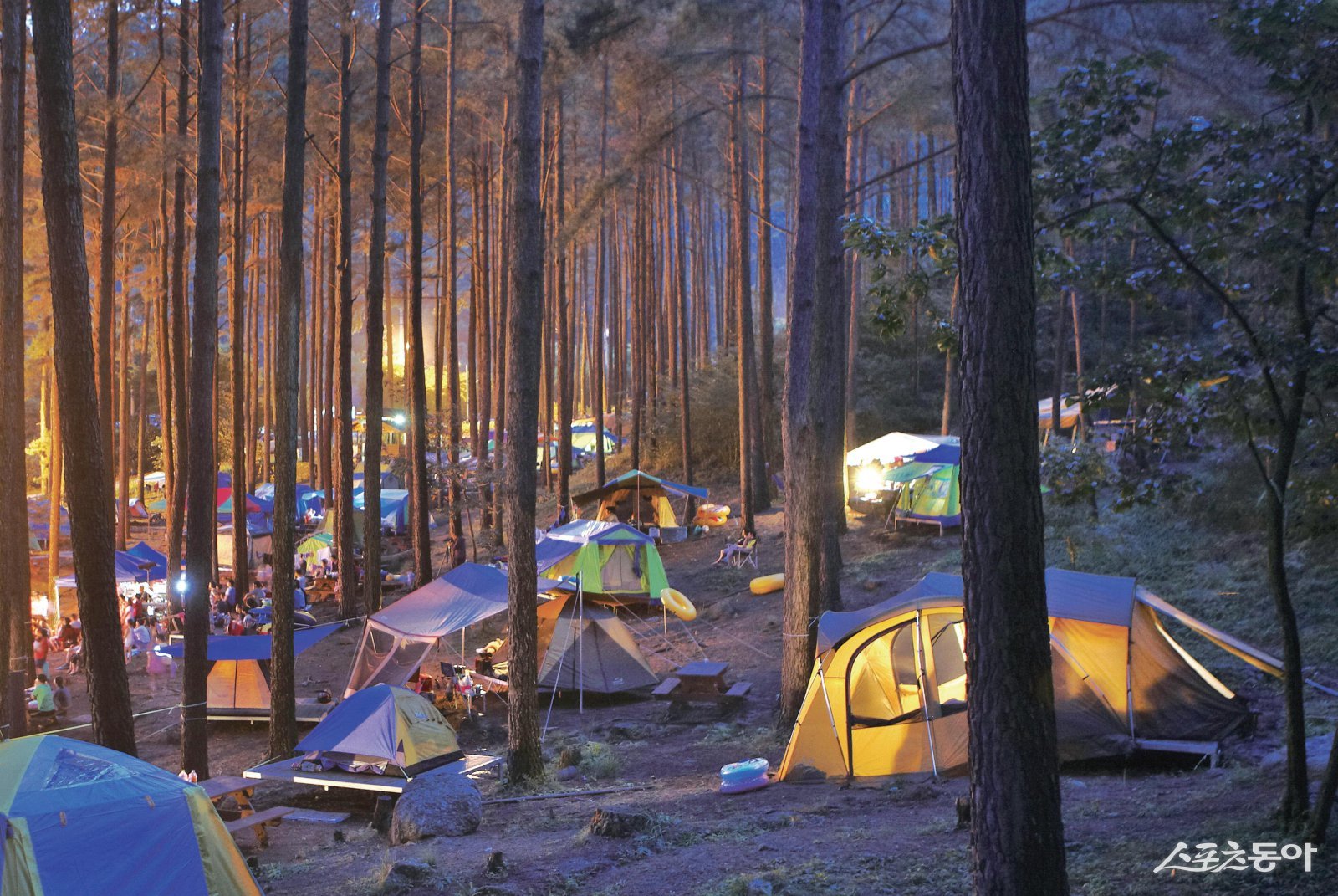 광양시가 백운산자연휴양림을 웰니스 관광지로 추천 했다. 사진제공=광양시