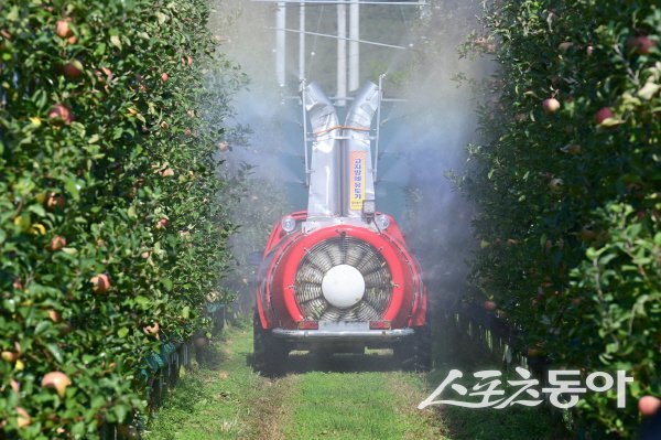 청송군은 자연재해 피해에 대비해 농작물재해보험료를 적극 지원하고 있다. 사진제공 ㅣ 청송군