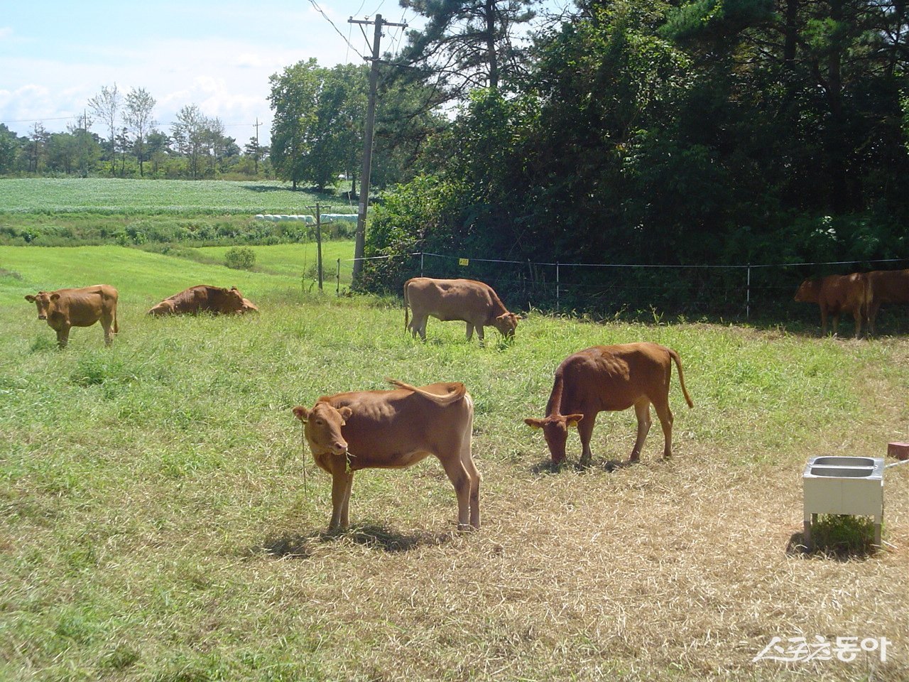 축산 시험장. 사진제공=전남도
