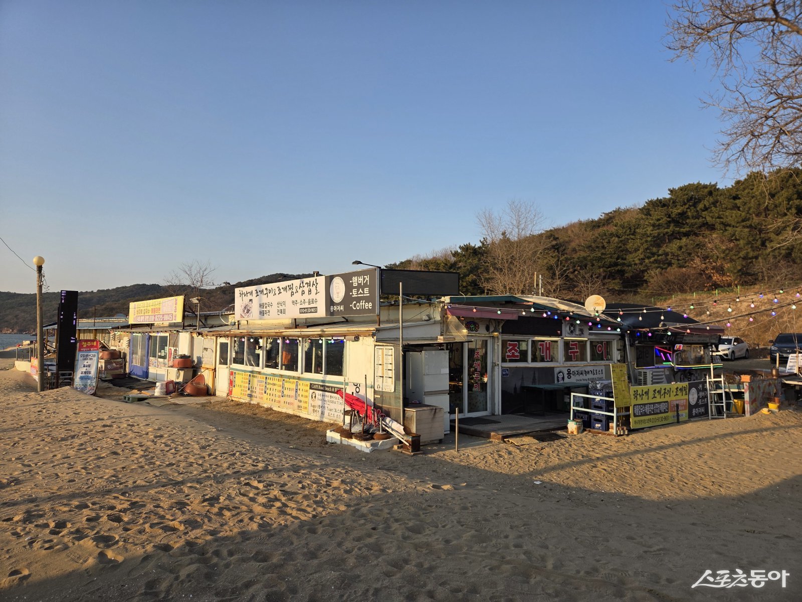 인천광역시 중구 무의동 하나개해수욕장 인근 중구청 소유 임야에서 수년간 불법 산지훼손과 무허가 영업이 이어지고 있음에도, 관할 중구청이 형사 고발 없이 과태료(변상금) 처분만 반복해 논란이 커지고 있다(현장). 사진｜장관섭 기자