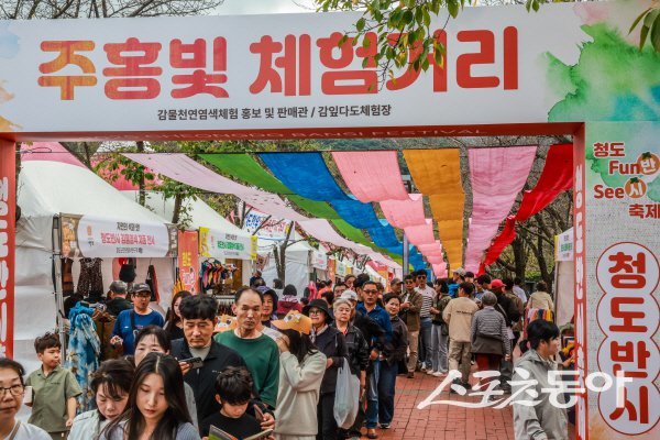 ‘청도반시축제’가 2026년 경상북도 지정 우수축제로 선정됐다. 사진제공 ㅣ 청도군