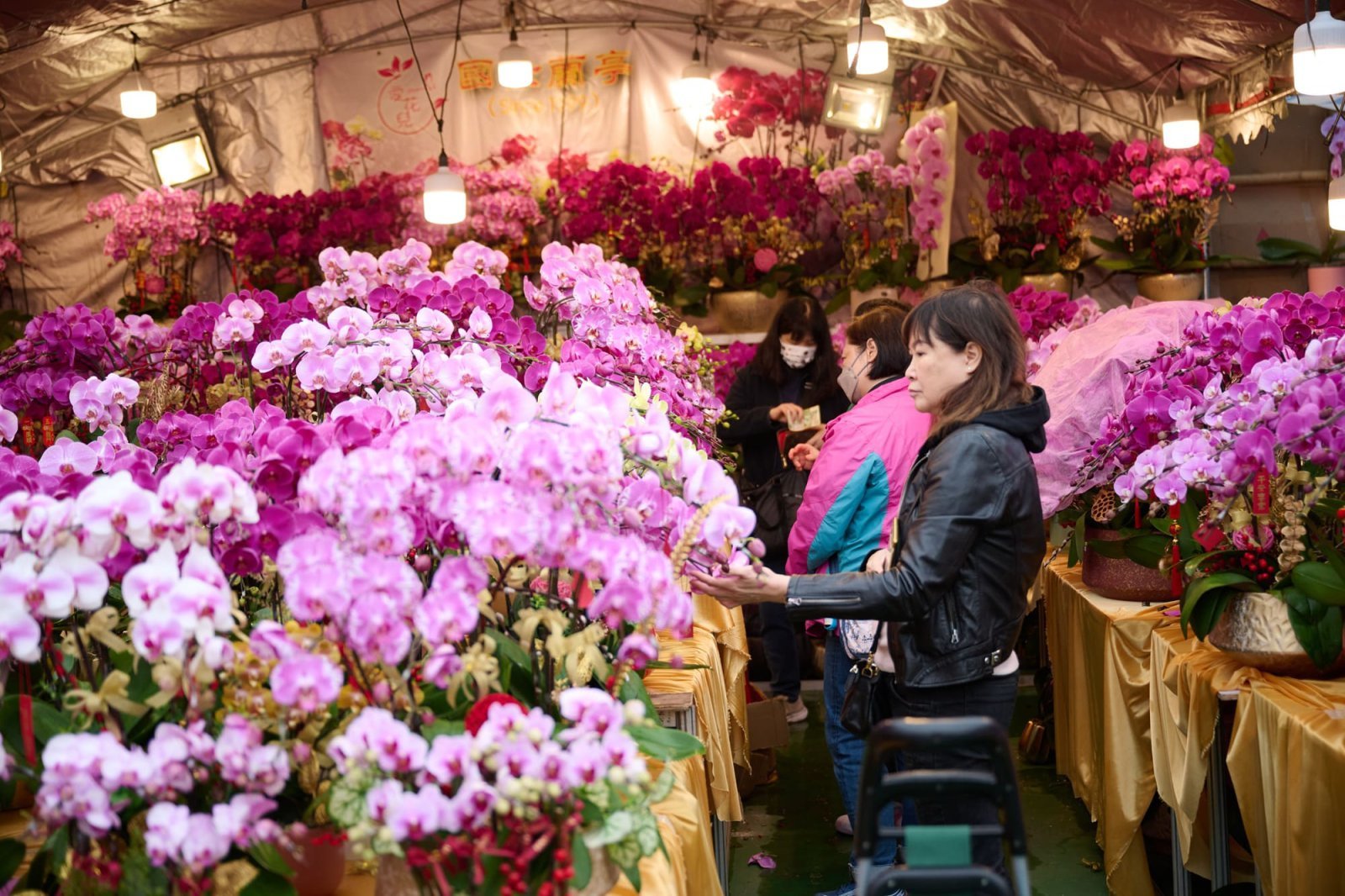 설 맞이 꽃 시장(Lunar New Year Fairs)            사진제공=홍콩관광청