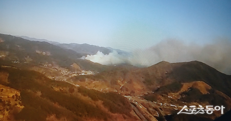광양시 옥곡면 묵백리 산 233 일원에서 산불 발생. 사진제공=독자제공