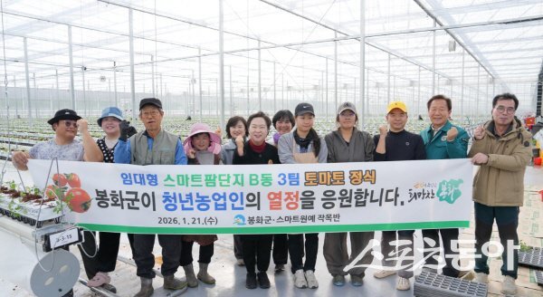 봉화군이 임대형 스마트팜 단지에서 청년 농업인 토마토 정식 작업을 마무리했다. 사진제공 ㅣ 봉화군