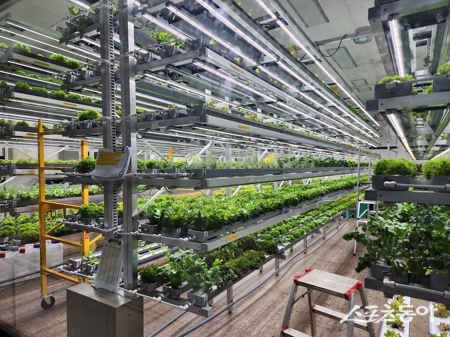 인천 계양구, 우수농산물관리 인증 농산물 전경. 사진제공|인천 계양구청