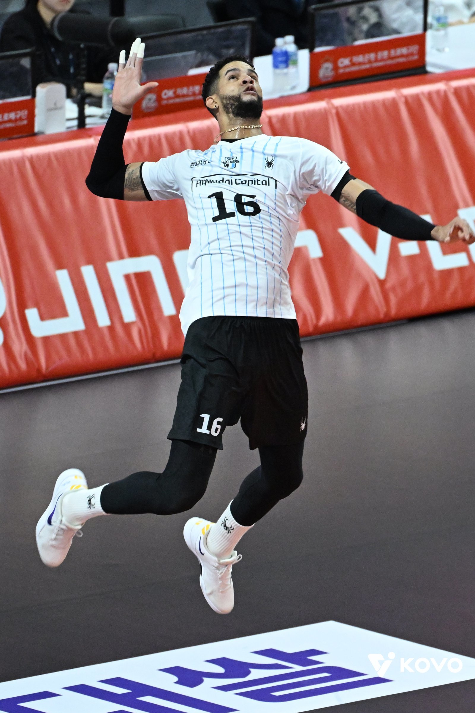 이번 시즌 V리그 올스타전은 25일 춘천 호반체육관서 열린다. 사진은 서브킹 콘테스트 우승에 도전하는 현대캐피탈 레오. 사진제공│KOVO