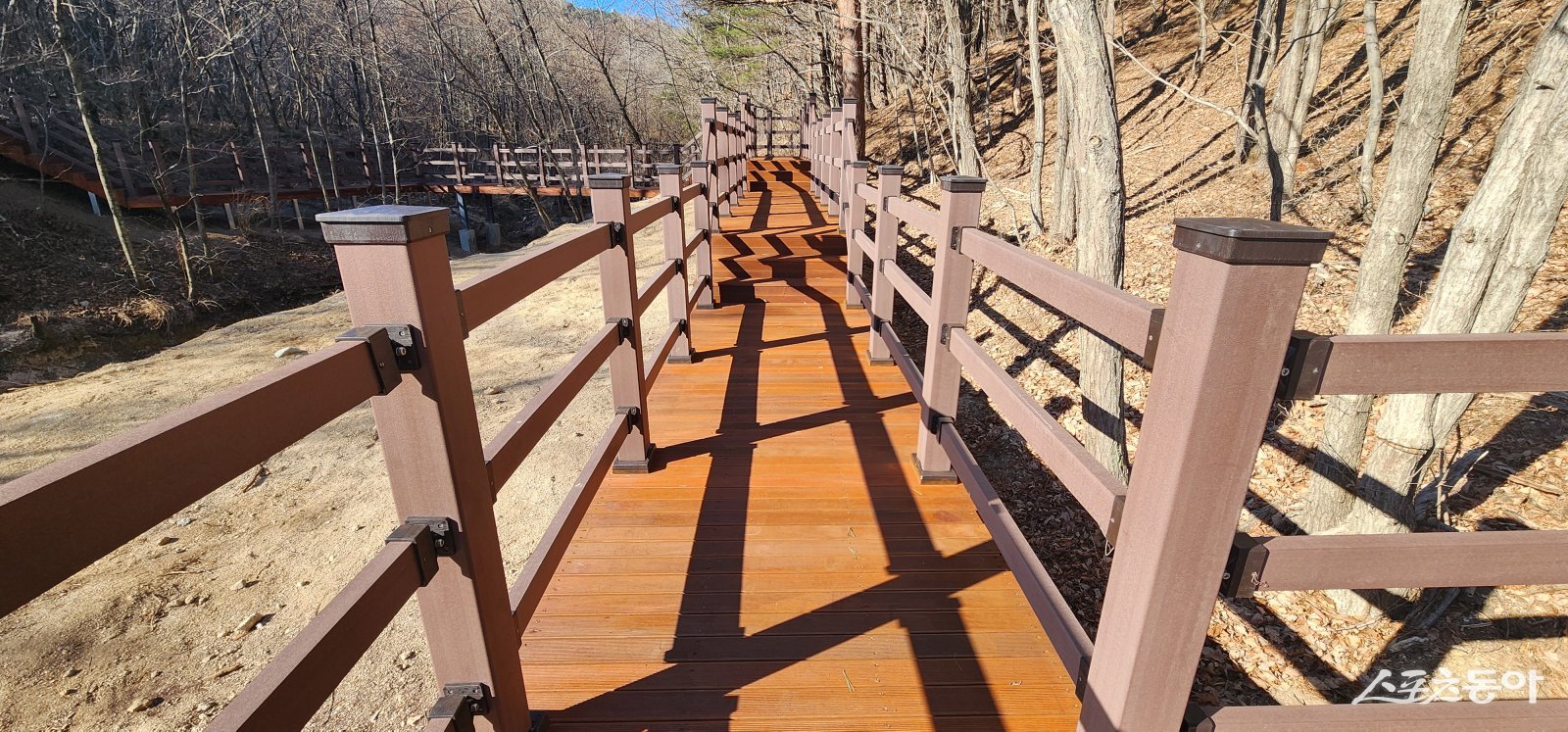 속초 자생식물원 생태탐방로. 속초시 제공
