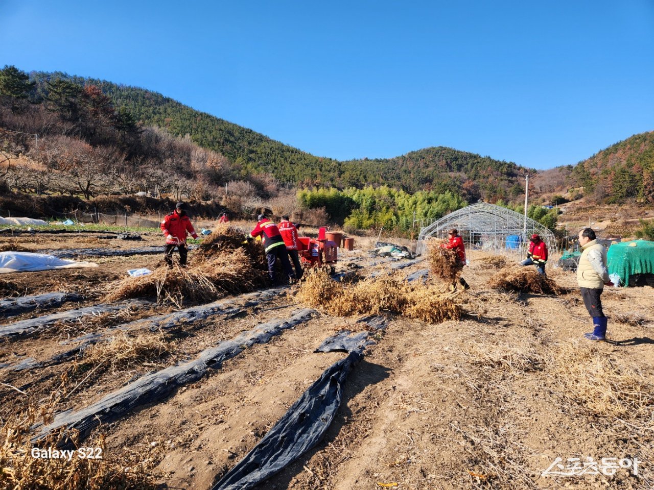 순천시시 관계자가 영농부산물 소각으로 인한 산불을 예방하기 위해 현장에서 영농부산물 파쇄 지원을 하고 있다. 사진제공=순천시
