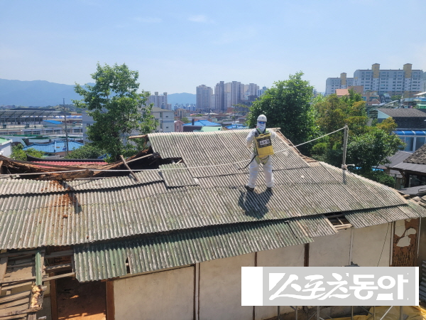 강릉시 제공