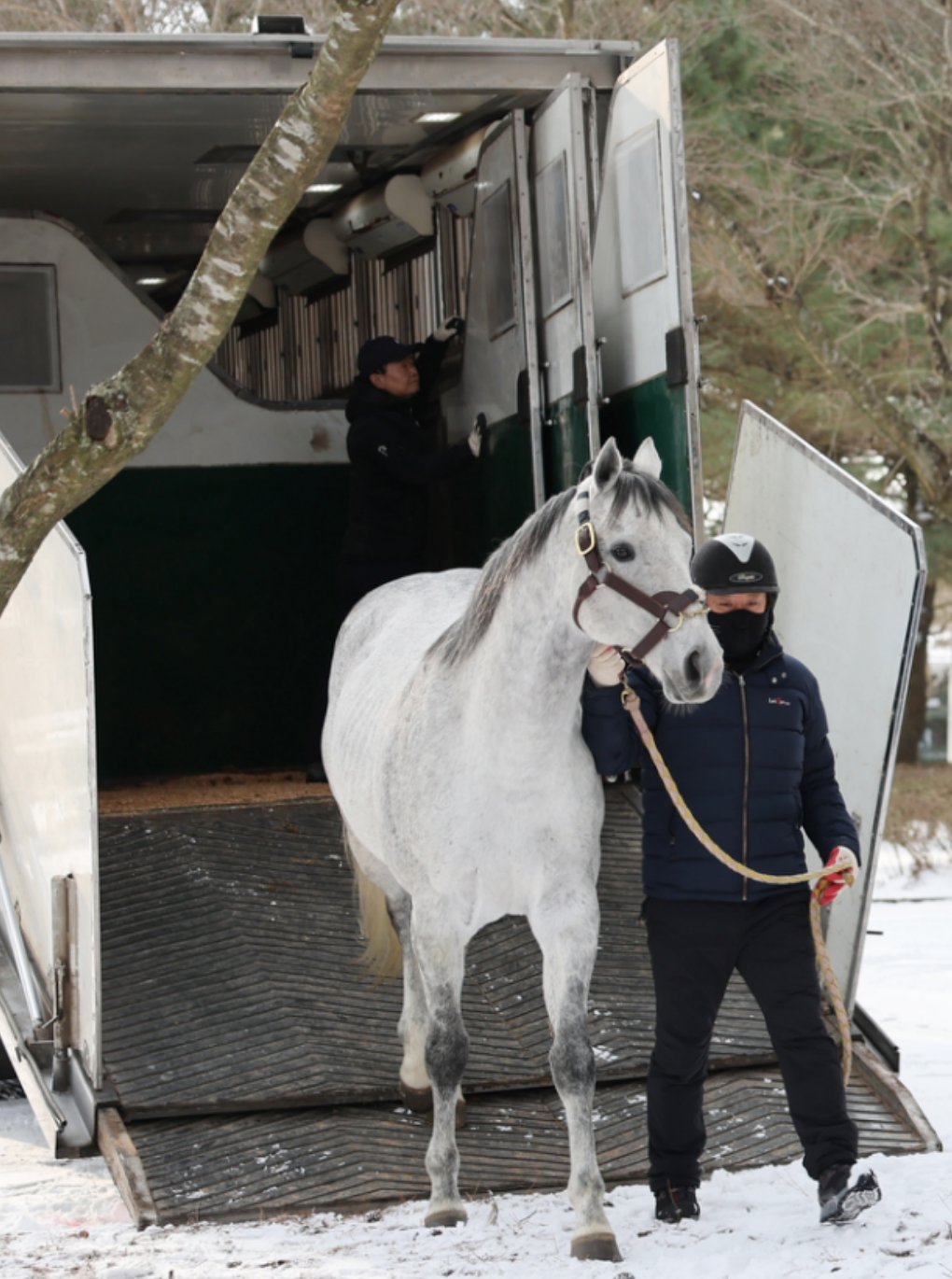 제주목장에 도착한 닉스고.