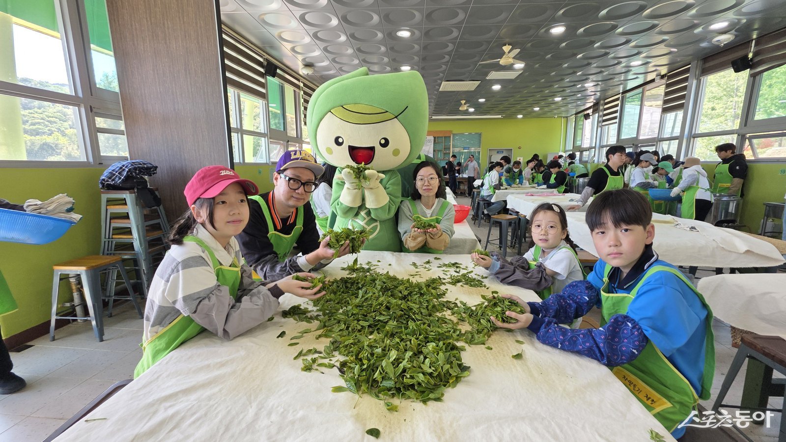 보성다향대축제가 전남 우수축제 선정과 문체부 문화관광축제 지정을 동시에 달성했다. 사진｜보성군