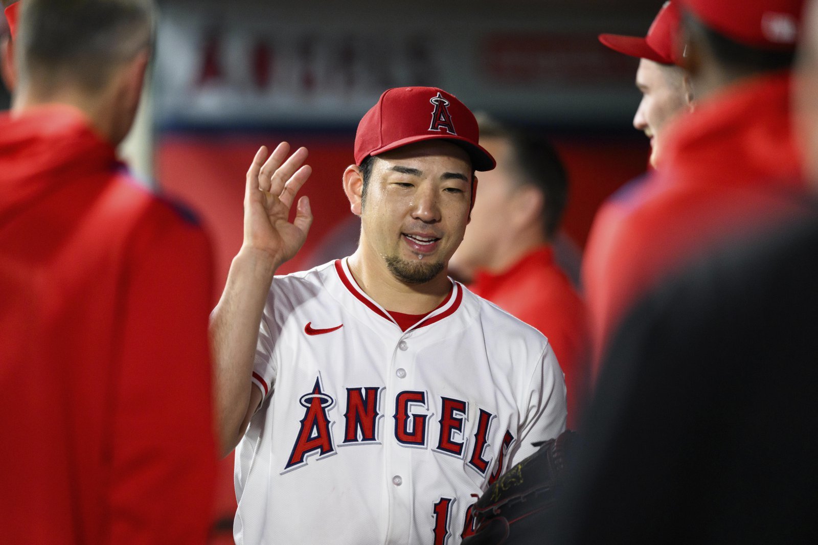 LA 에인절스 기쿠치 유세이는 제6회 WBC 한일전 선발등판이 유력한 투수로 꼽힌다. AP뉴시스