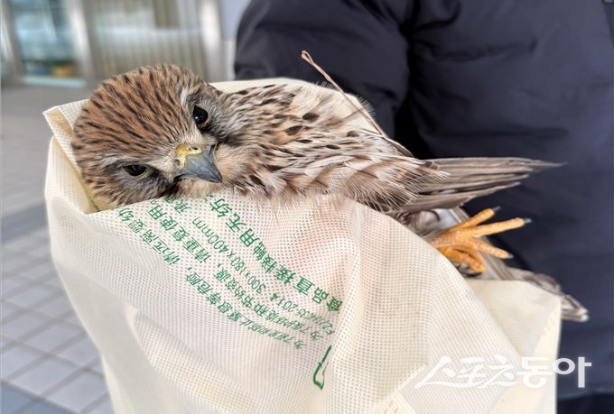 구조사진. (사진제공=부산정보산업진흥원)