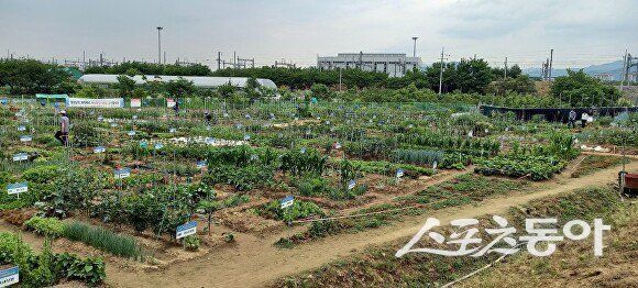 수성구 공영도시농업농장 전경. 사진제공ㅣ대구 수성구