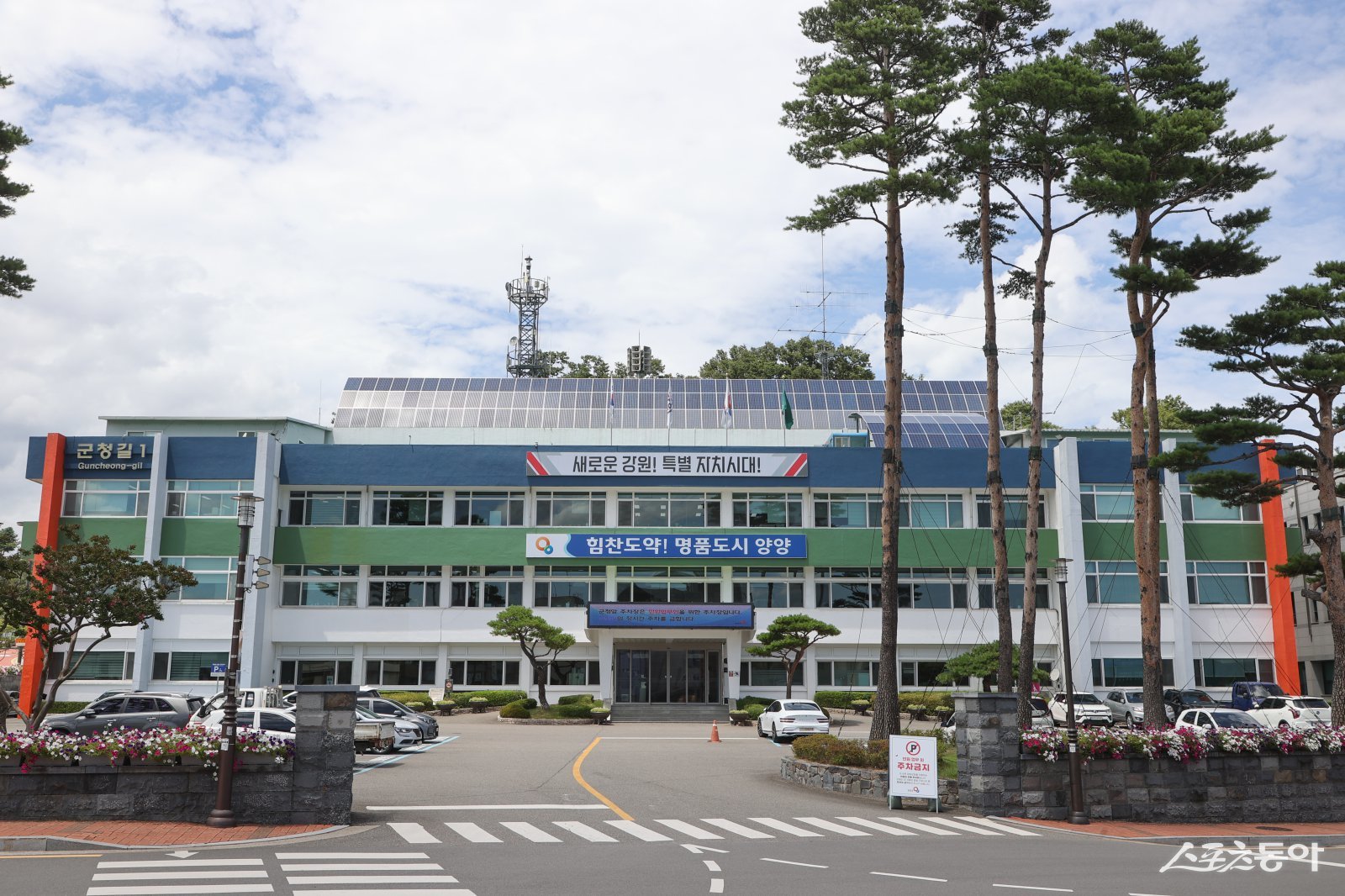 양양군청 전경. 양양군 제공