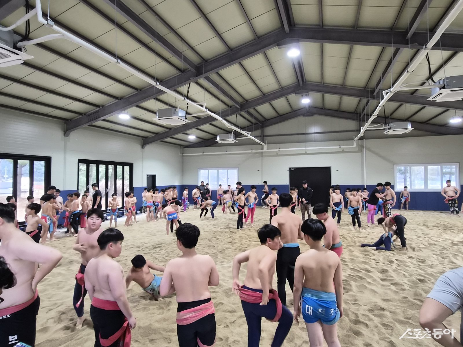 고창군 전지훈련 유치-씨름부. 사진제공=고창군