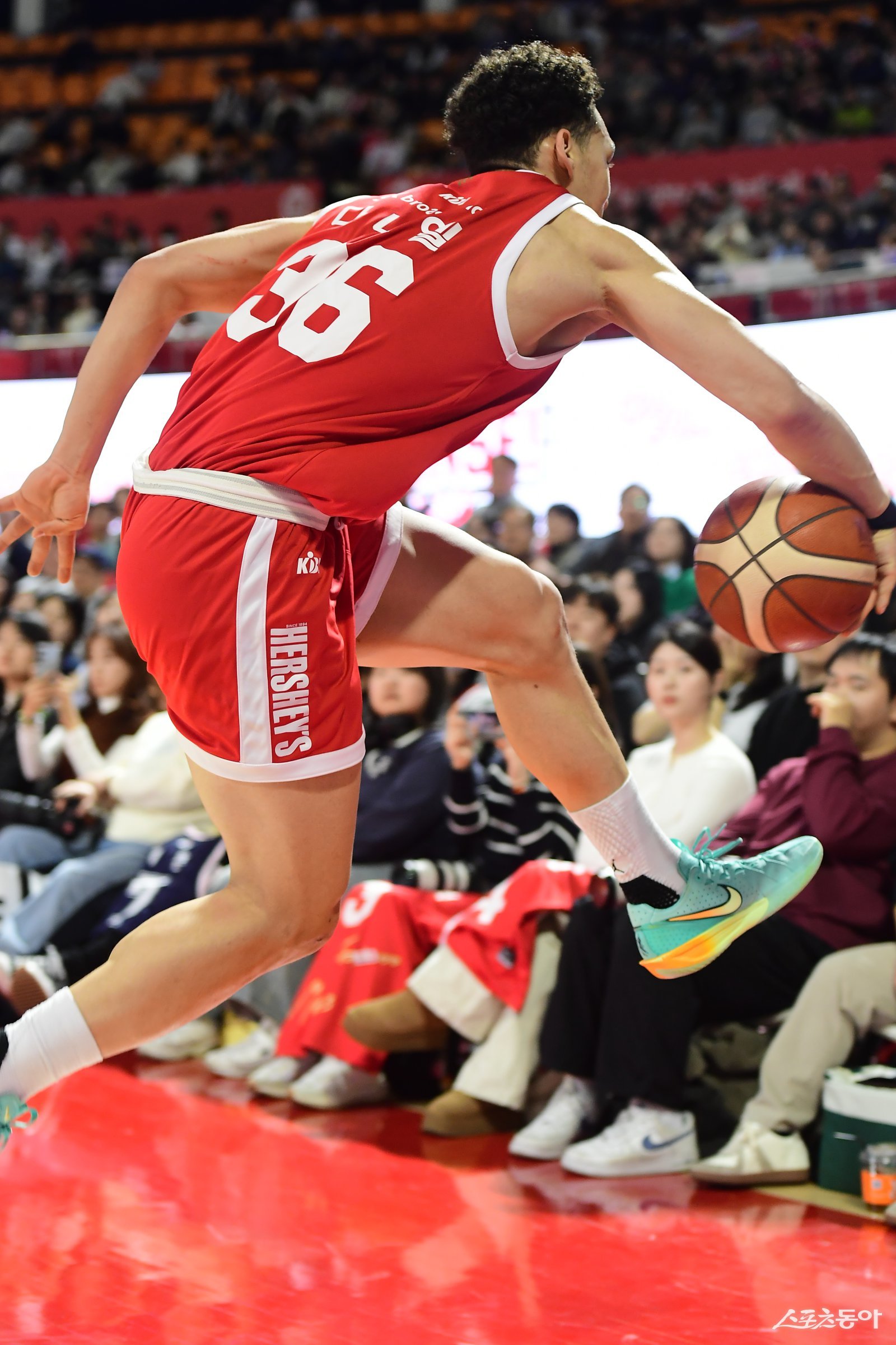 SK 에디 다니엘은 엄청난 에너지 레벨을 앞세워 팀의 에너지를 끌어올리는 데 일가견이 있다. 기량을 인정받아 니콜라스 마줄스 감독이 이끄는 남자농구대표팀 엔트리에도 이름을 올렸다. 사진제공ㅣKBL