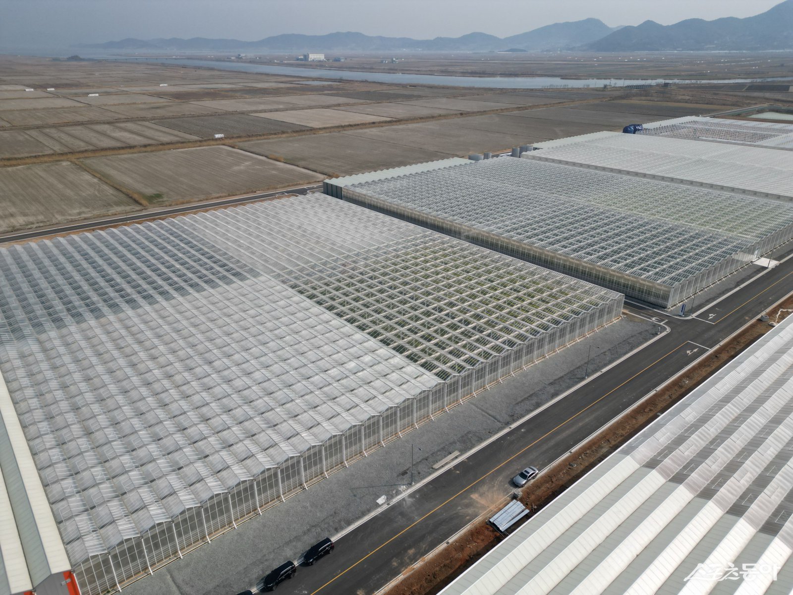 고흥군 스마트팜. 사진제공｜전남도