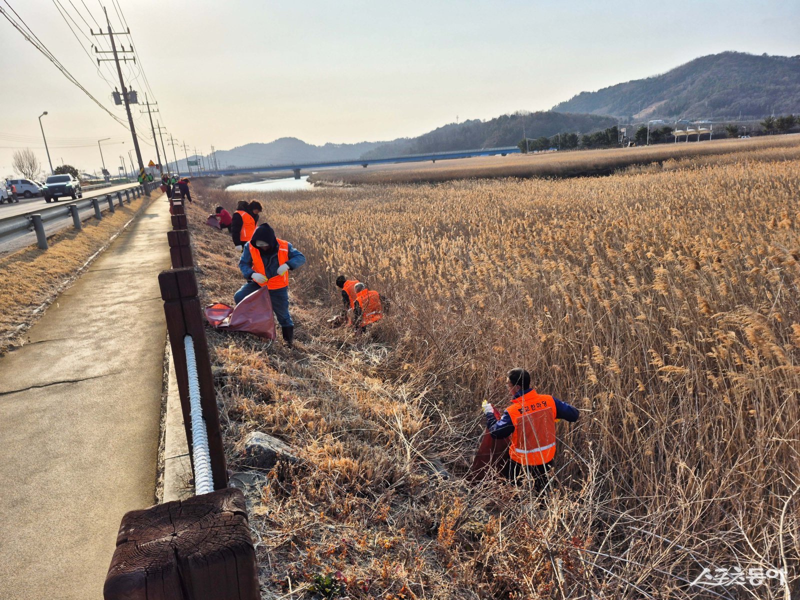 사회단체 회원들과 벌교읍 직원들이 벌교천변에서 쓰레기를 수거하고 있다. 사진제공|박기현 기자