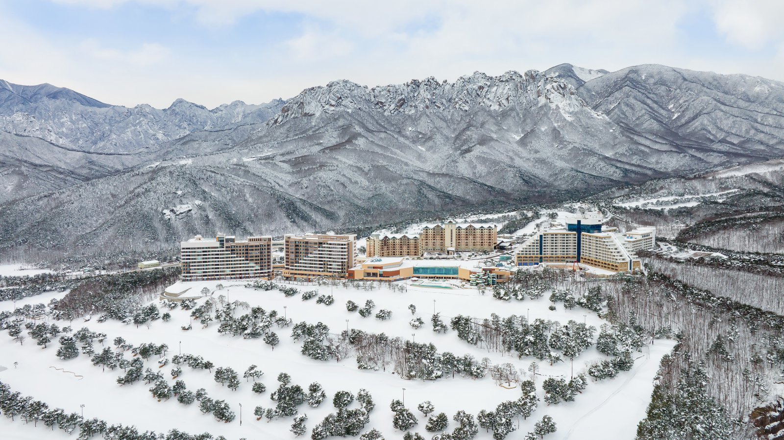 델피노 겨울 전