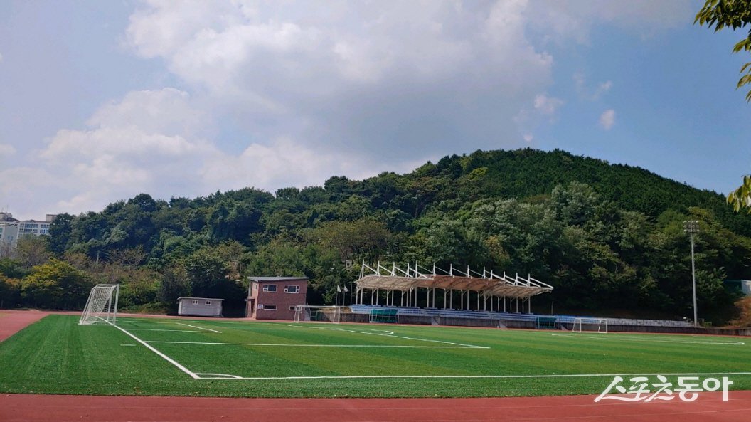 순천시 팔마보조경기장 전경. 사진제공│순천시