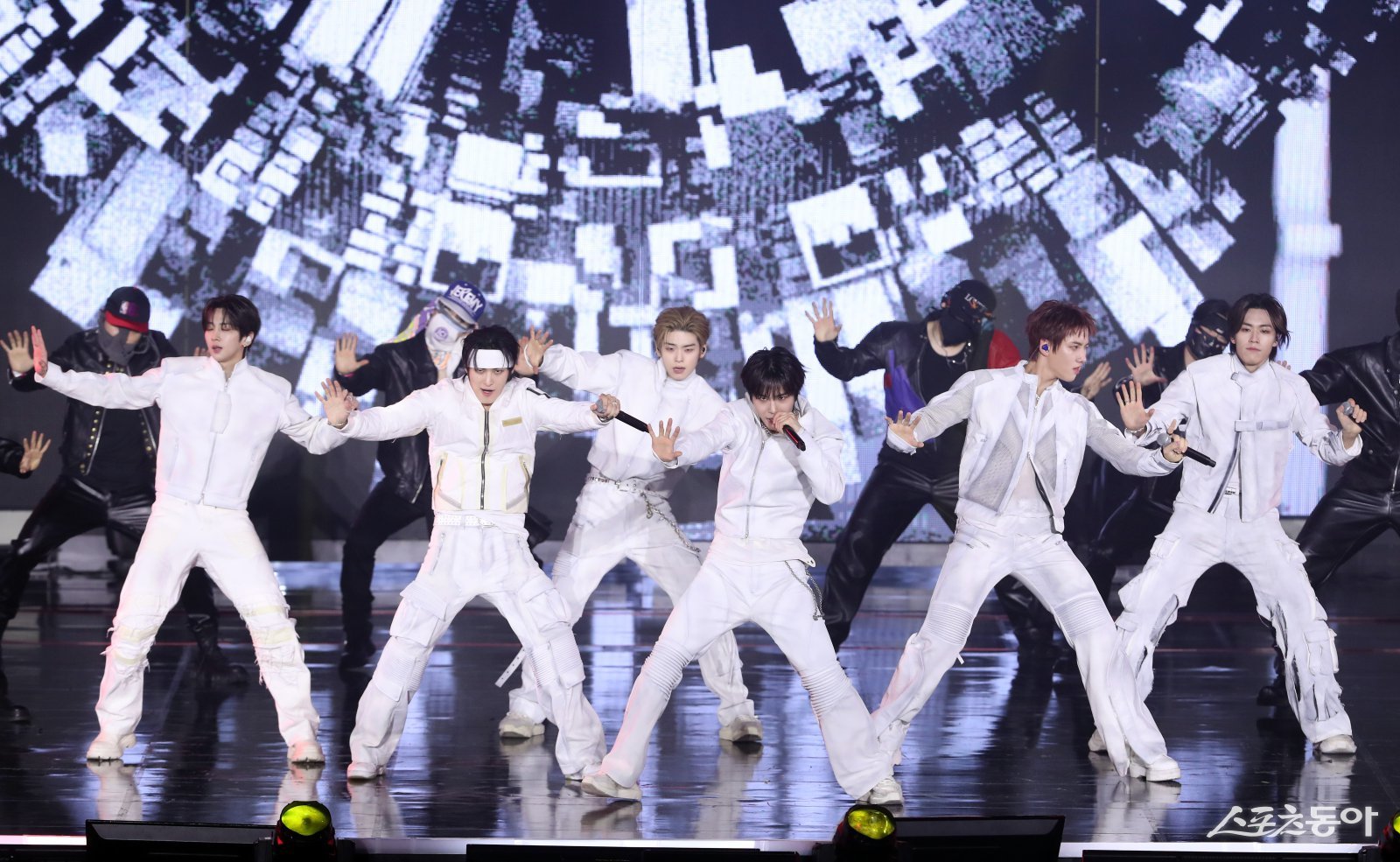 82메이저 공연 대한민국 1등 스포츠신문 스포츠동아