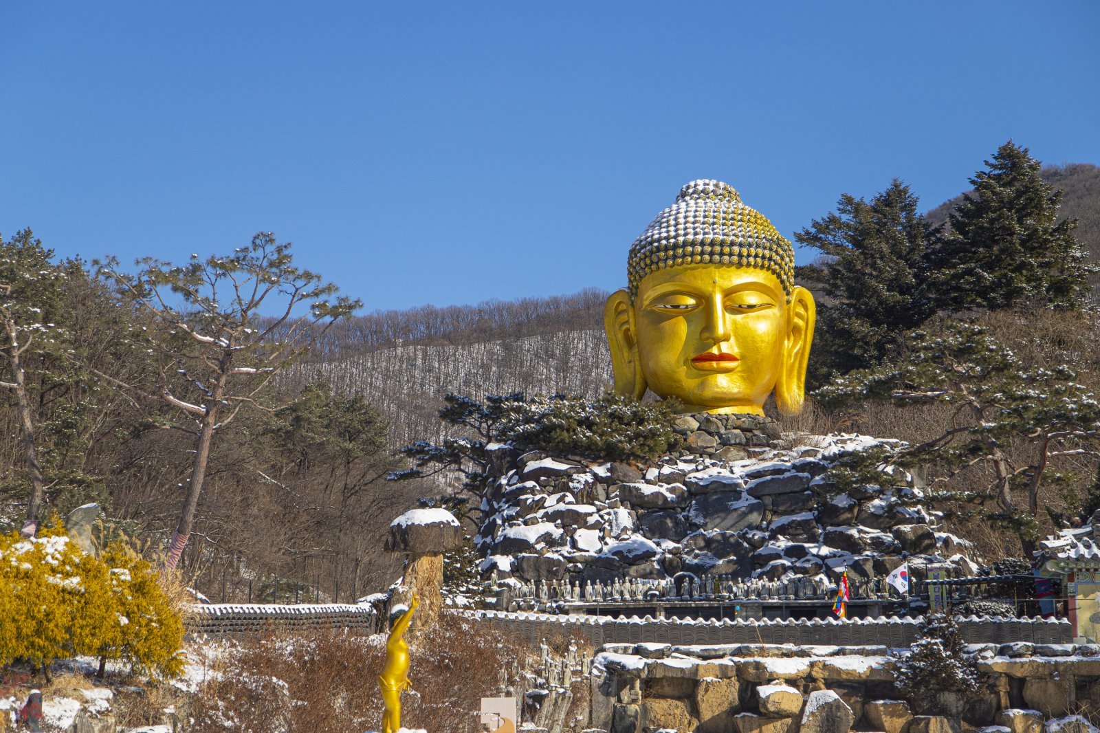 용인 와우정사 입구의 황금빛 불두