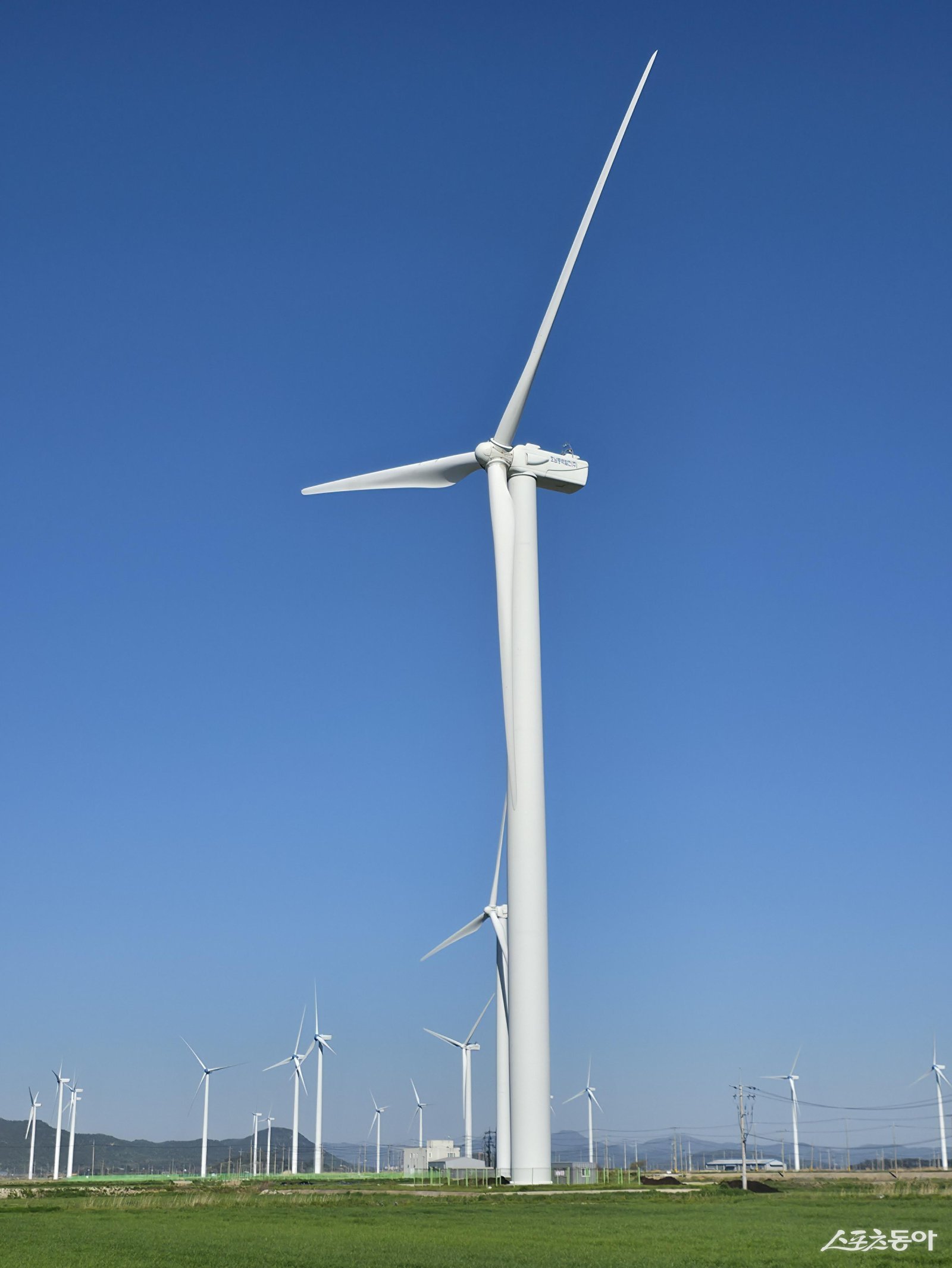 영광 풍력발전기. 사진제공 I 전남도