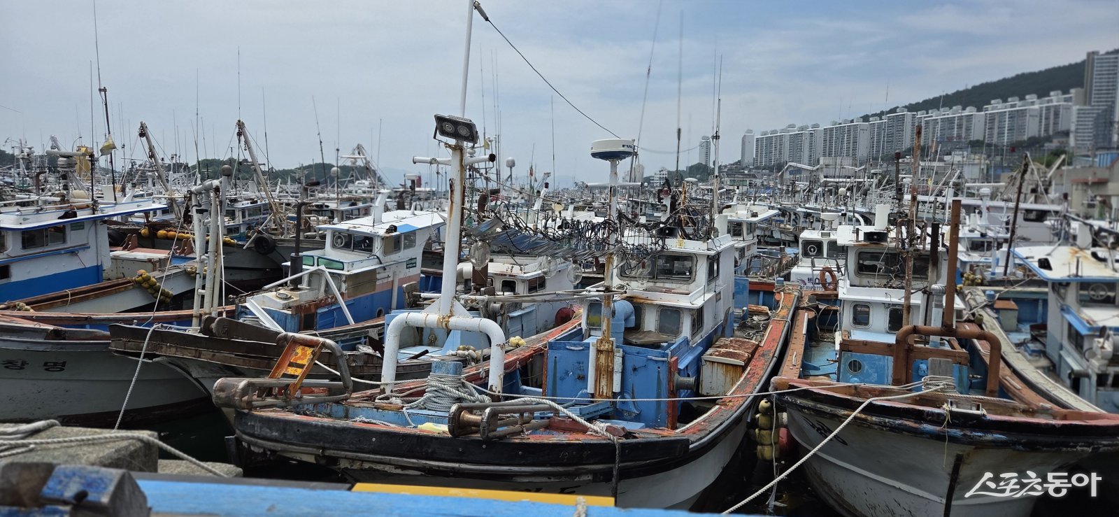 여수시 극동항 방치된 선박들. 사진제공│박기현 기자