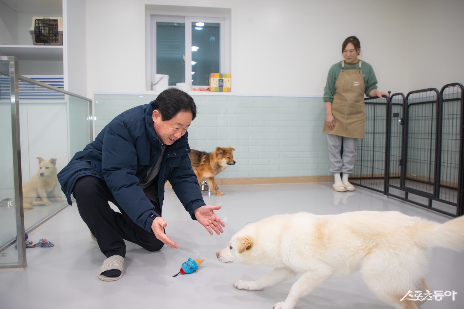 주광덕 시장이 17일 유기·유실 동물의 포획부터 보호, 입양까지 관리 절차를 꼼꼼히 확인하고 있다. 사진제공ㅣ남양주시 