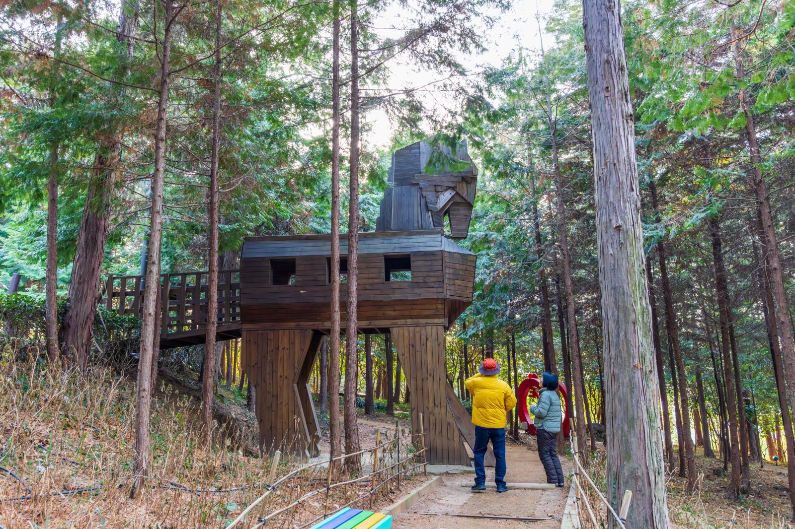 전남 장흥이 웰니스 여행지로서의 존재감을 키우고 있다. 수령 60년 이상된 편백나무가 장관을 이루는 정남진 편백숲 우드랜드. 사진제공 | 지엔씨21