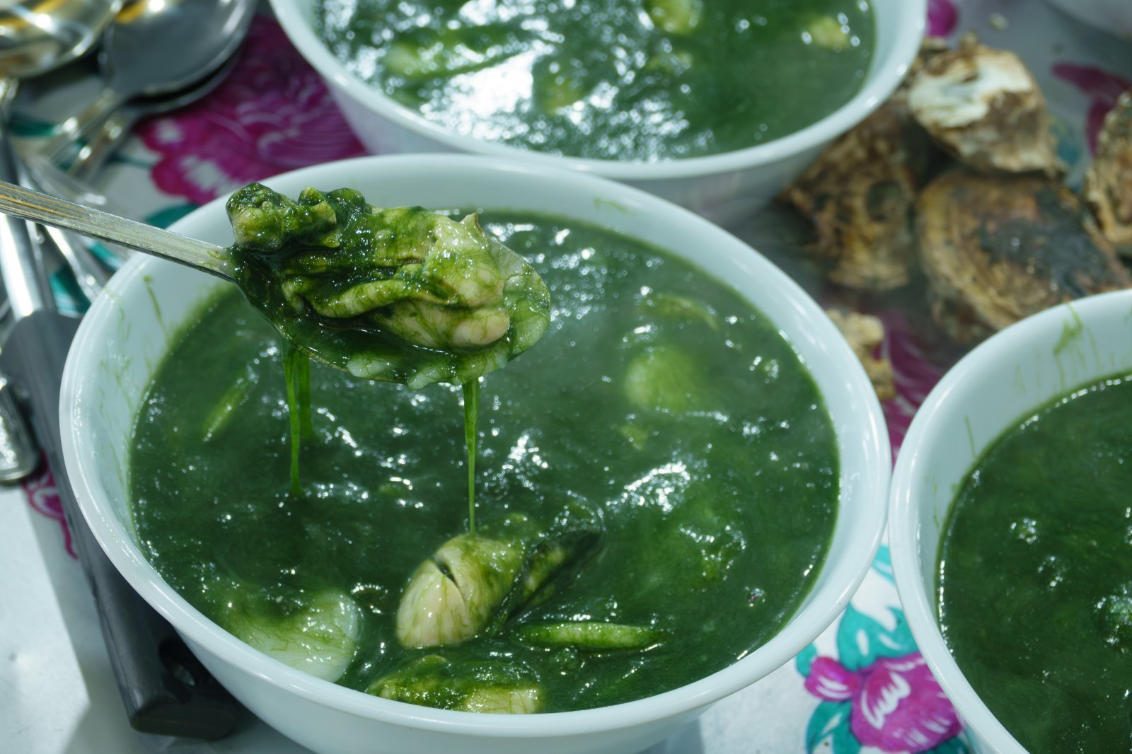 굴을 듬뿍 넣은 굴매생이떡국. 사진제공 | 지엔씨21