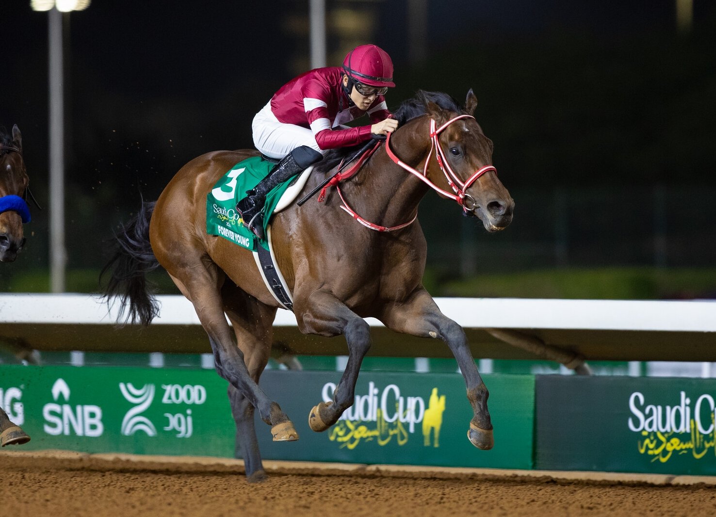 제7회 사우디컵에 출전한 포에버영이 마지막 직선 주로에서 힘차게 치고 나가고 있다. 2년 연속 패권을 차지한 포에버영은 이번 대회 우승 상금으로 1000만 달러(145억 원)을 챙겼다. 사진출처 |  사우디아라비아 자키클럽(JCSA)